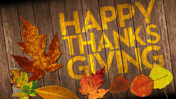 Happy-Thanksgiving-from-mageworx