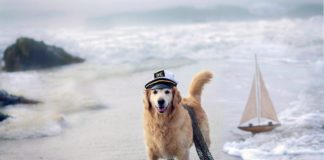 Magento 2 Shipping Rules Explained with 15 Practical Examples