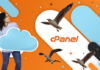 Step By Step Guide to Migrate Magento Store from cPanel to Cloud Hosting