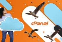 Step By Step Guide to Migrate Magento Store from cPanel to Cloud Hosting