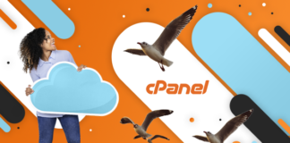 Step By Step Guide to Migrate Magento Store from cPanel to Cloud Hosting