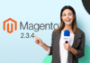 Magento 2.3.4 Features Overview and Expert Opinion. What’s New? Magento 2.3.4. Features Overview | MageWorx Blog