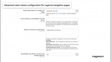Advanced meta robots setup for Magento 2