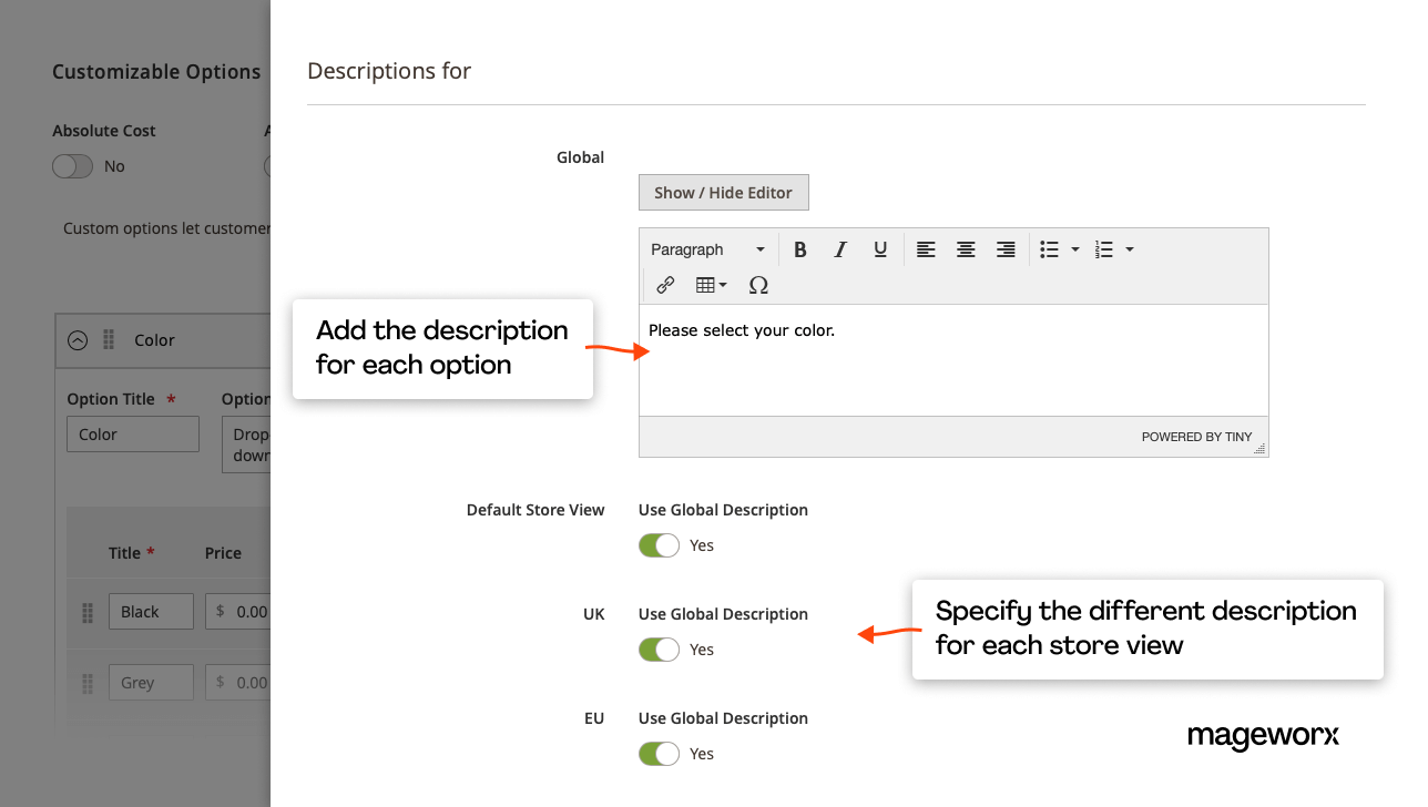 Magento 2 custom options' descriptions