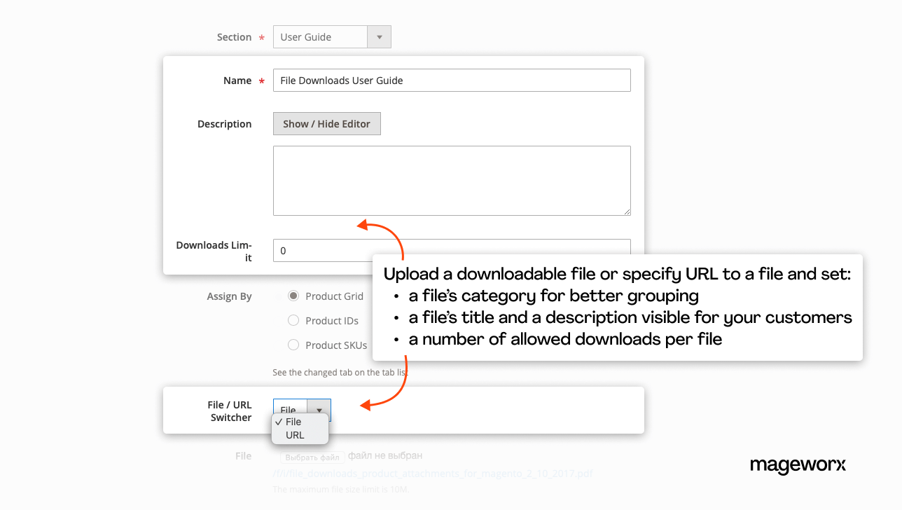 specifying url to a file