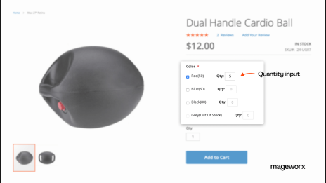 Quantity input for Magento custom option