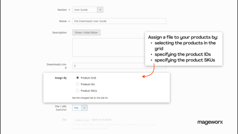 magento 2 attach pdf to product - assign options