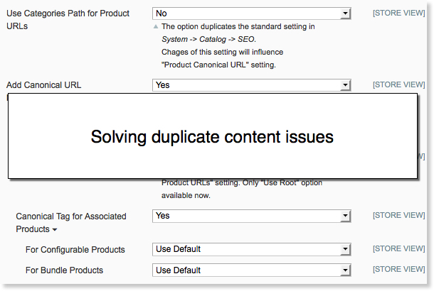 Magento SEO: solving duplicate content issues.