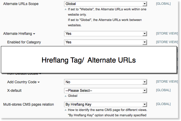 Magento SEO: dealing with hreflang tag/ alternate URLs.